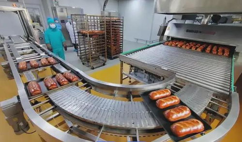 LFGB認(rèn)證指南 食品加工設(shè)備出口德國的必備測試與資料